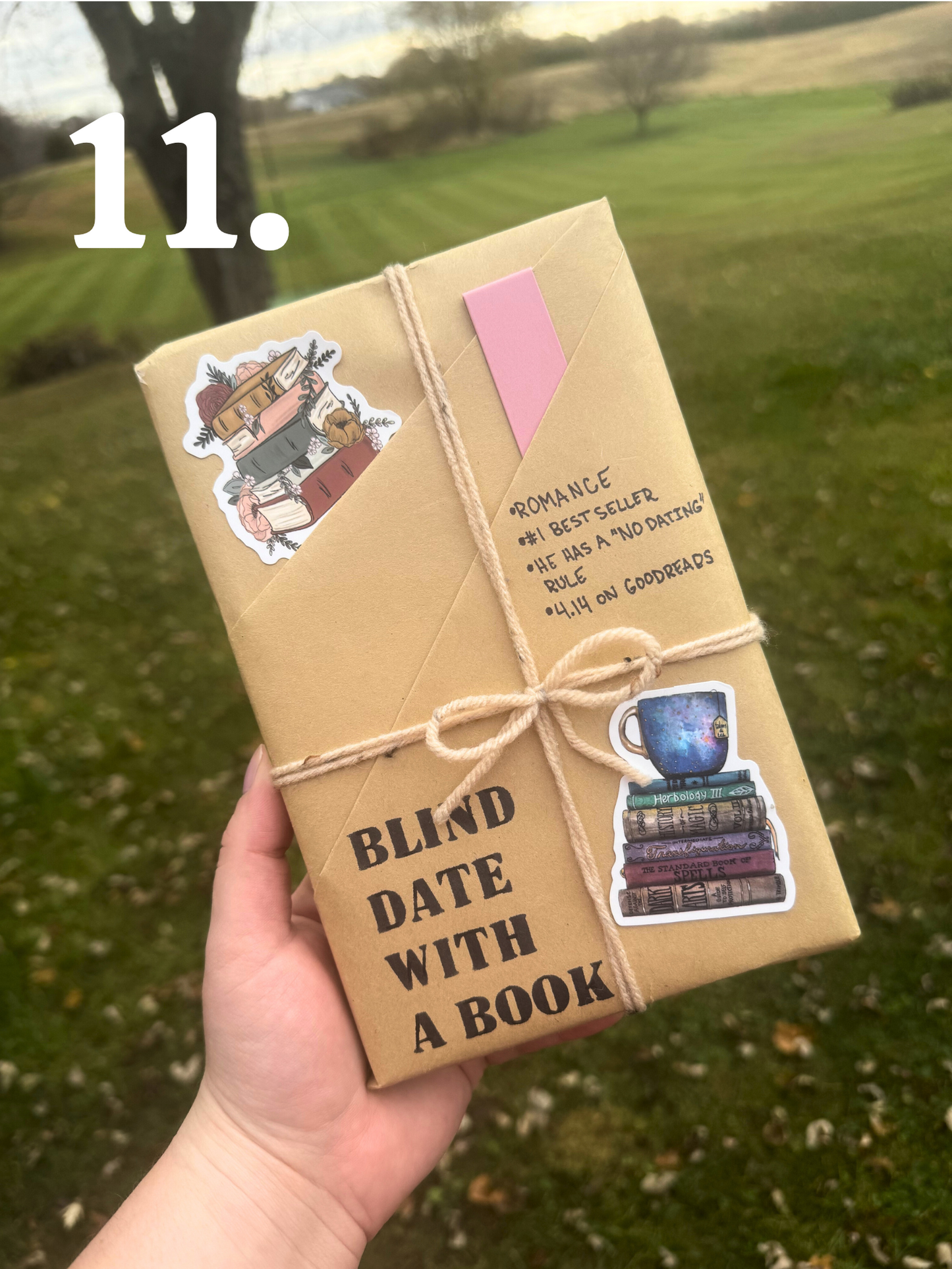 Blind Date With A Book